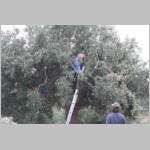 240 ...und los gehts....JPG 240 ...und los gehts....JPG